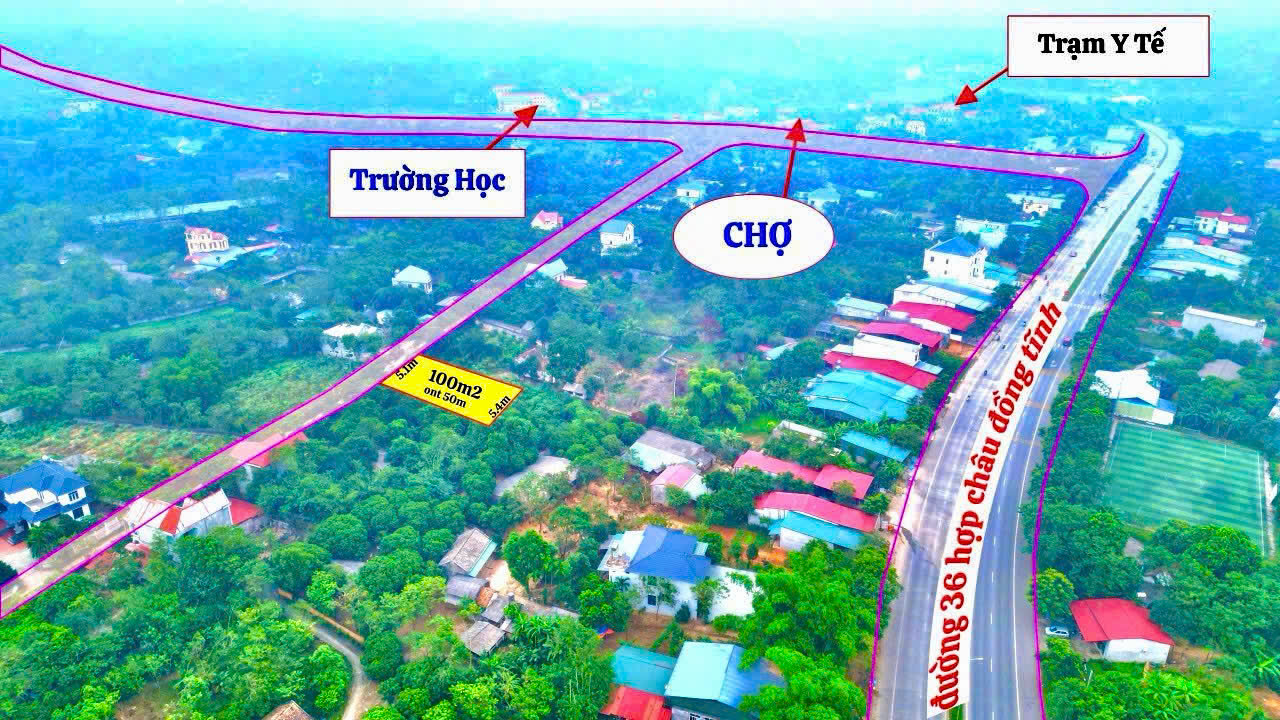 ĐẤT ĐẸP - GIÁ TỐT - Vị Trí Đắc Địa Tại Xã Hoàng Hoa, Huyện Tam Dương, Vĩnh Phúc - Ảnh 2