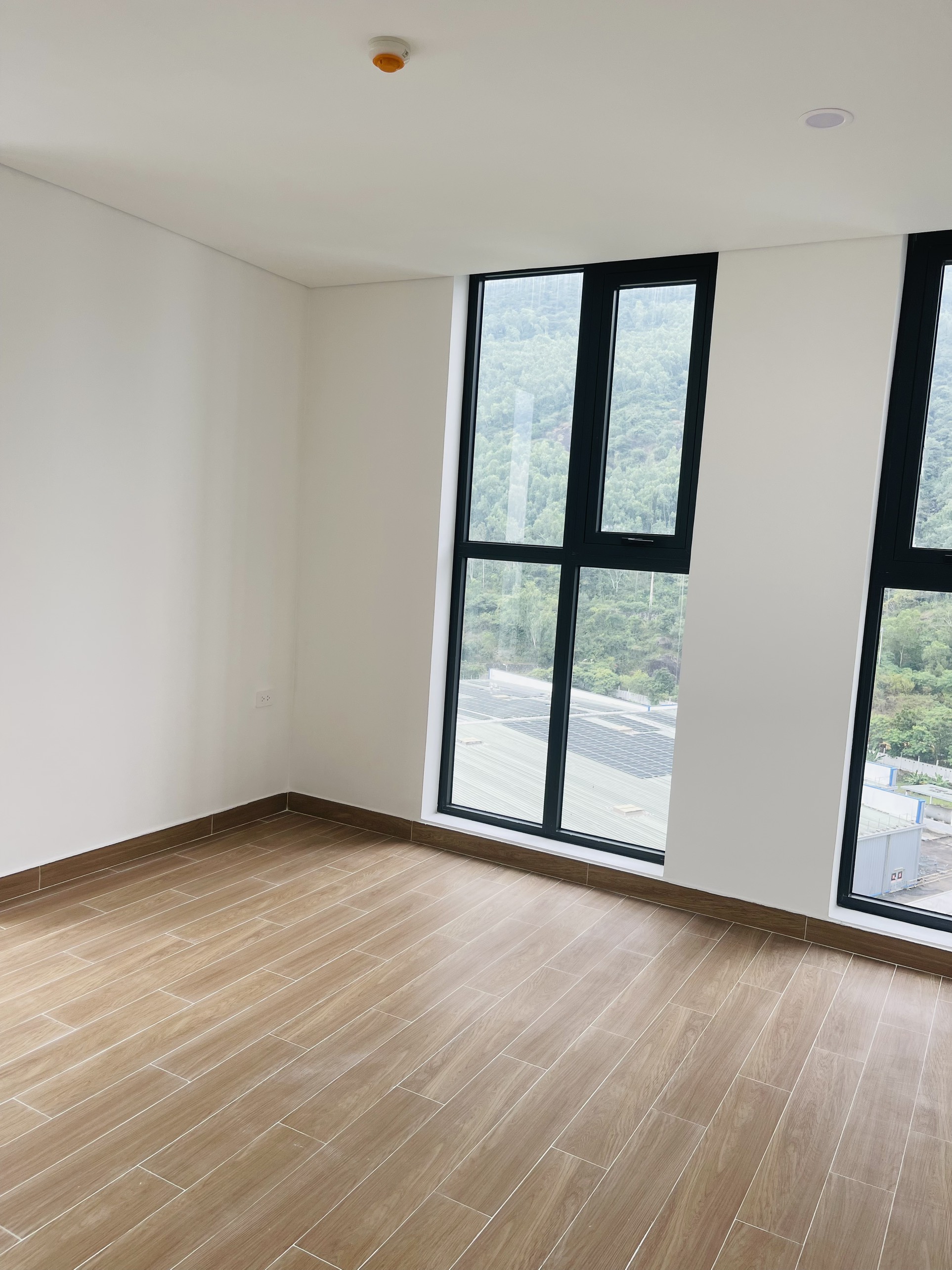 Cho thuê chung cư The Calla (Calla Apartment) - 4tr/th - View biển - Ảnh 1