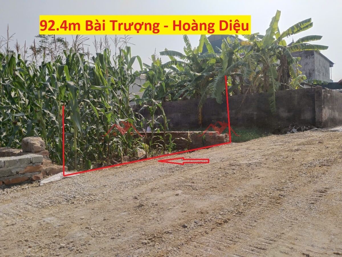 SIÊU PHẨM GIÁ 1,5 TỶ ĐẤT TẠI HOÀNG DIỆU-CHƯƠNG MỸ D/T:92,4M - Ảnh chính