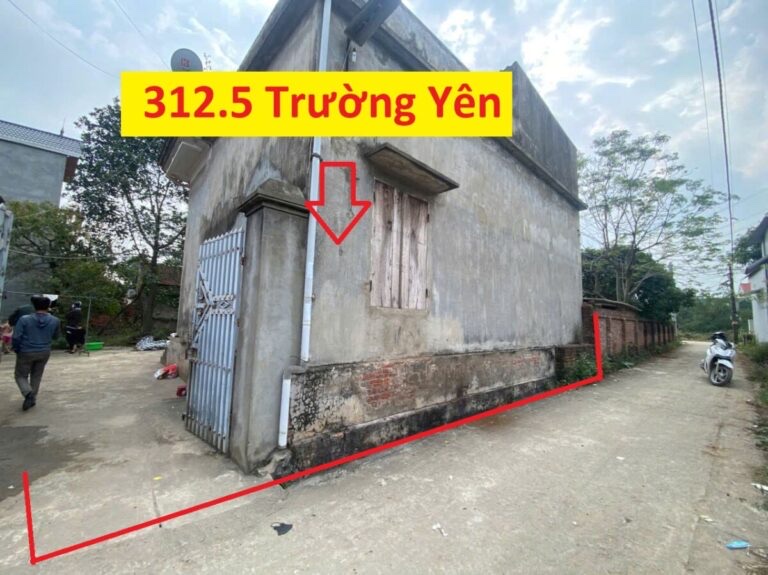 SIÊU PHẨM PHÂN LÔ 312,5M GIÁ 5,2 TỶ ĐẤT TRƯỜNG YÊN-CHƯƠNG MỸ - Ảnh chính