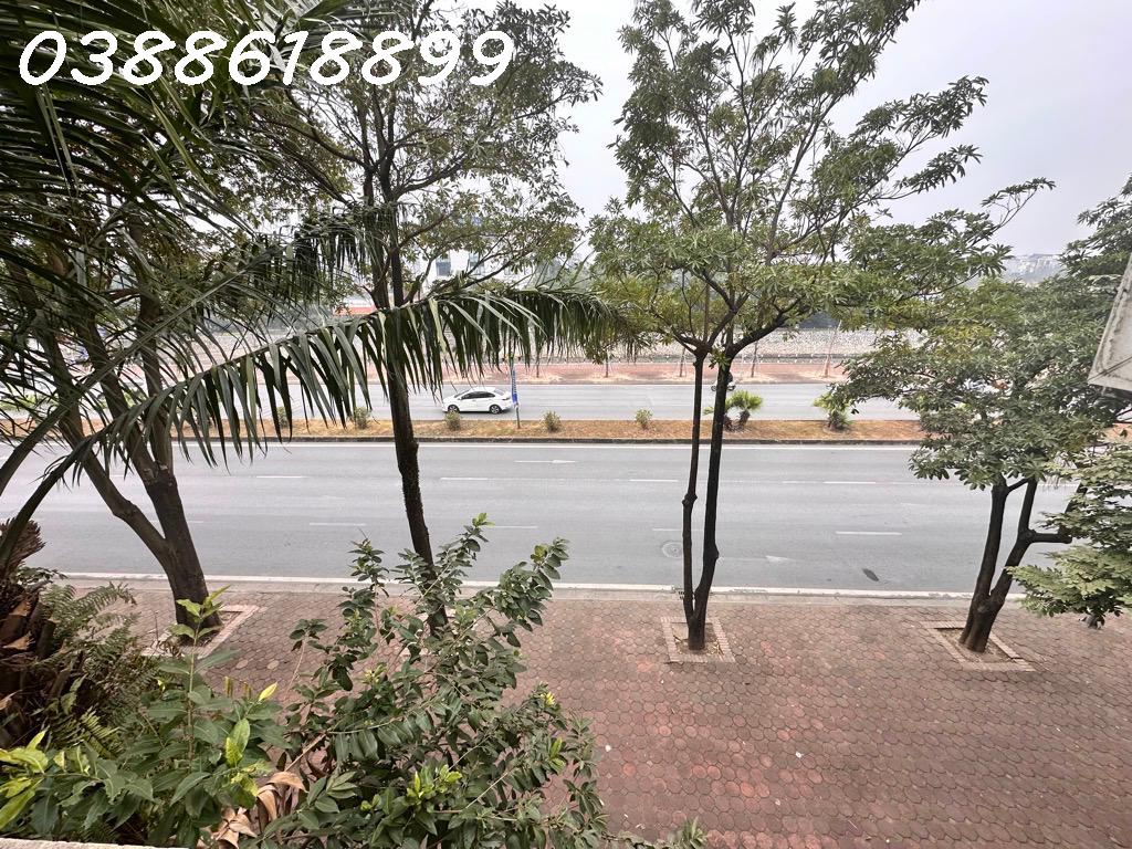 BIỆT THỰ PALM GARDEN, VIỆT HƯNG, 203M, MT 11M, HÀNG XÓM VIN RIVERSIDE, CHỈ 35.4 TỶ - Ảnh 2