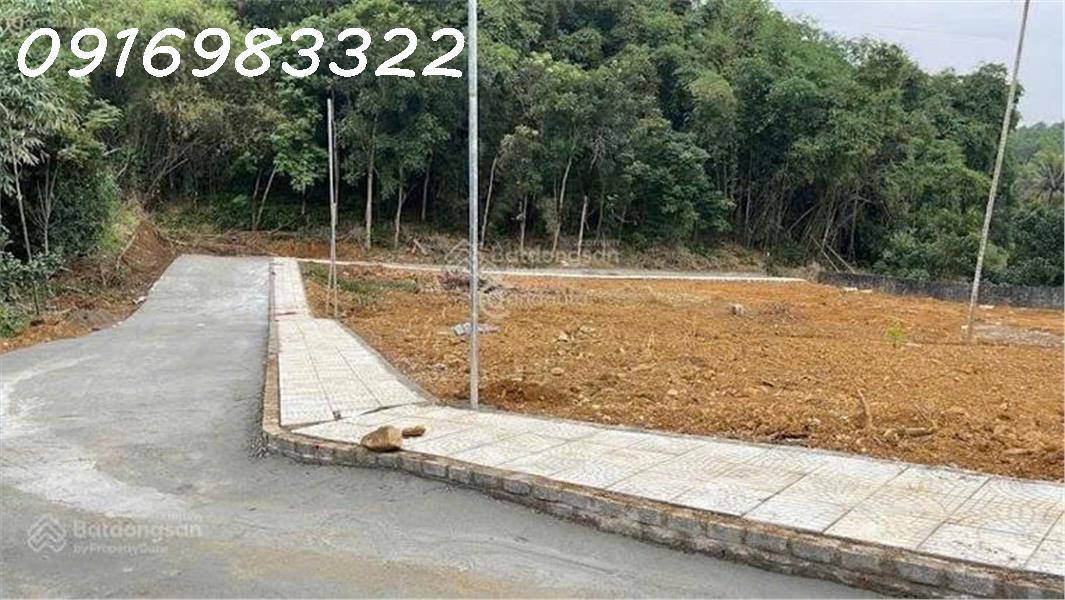 Chuyển Nhượng Lô Đất Nền Từ 180-300M2 Tại Thạch Thành, Thanh Hóa - Ảnh 1