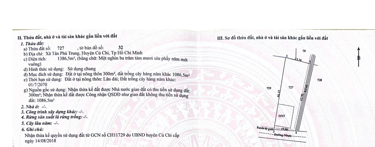 Cơ Hội Sở Hữu Lô Đất Thổ Cư Nở Hậu, Vị Trí Vàng Tại Tân Phú Trung, Củ Chi, TP.HCM - Ảnh 1