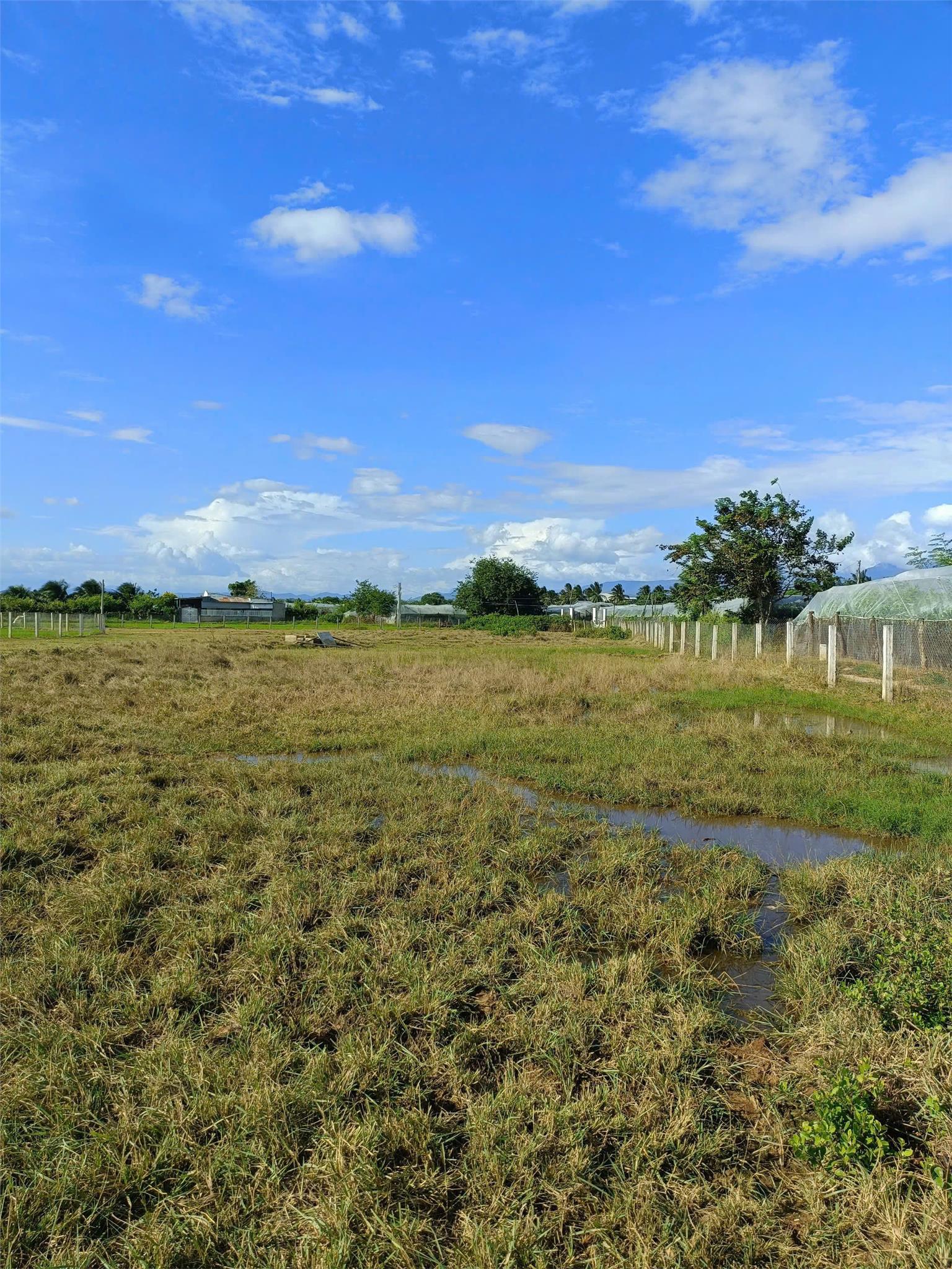 CHÍNH CHỦ CẦN BÁN LÔ ĐẤT SIÊU TIỀM NĂNG TẠI Phường Bảo An , Tp  Phan Rang - Tháp Chàm - Ảnh chính