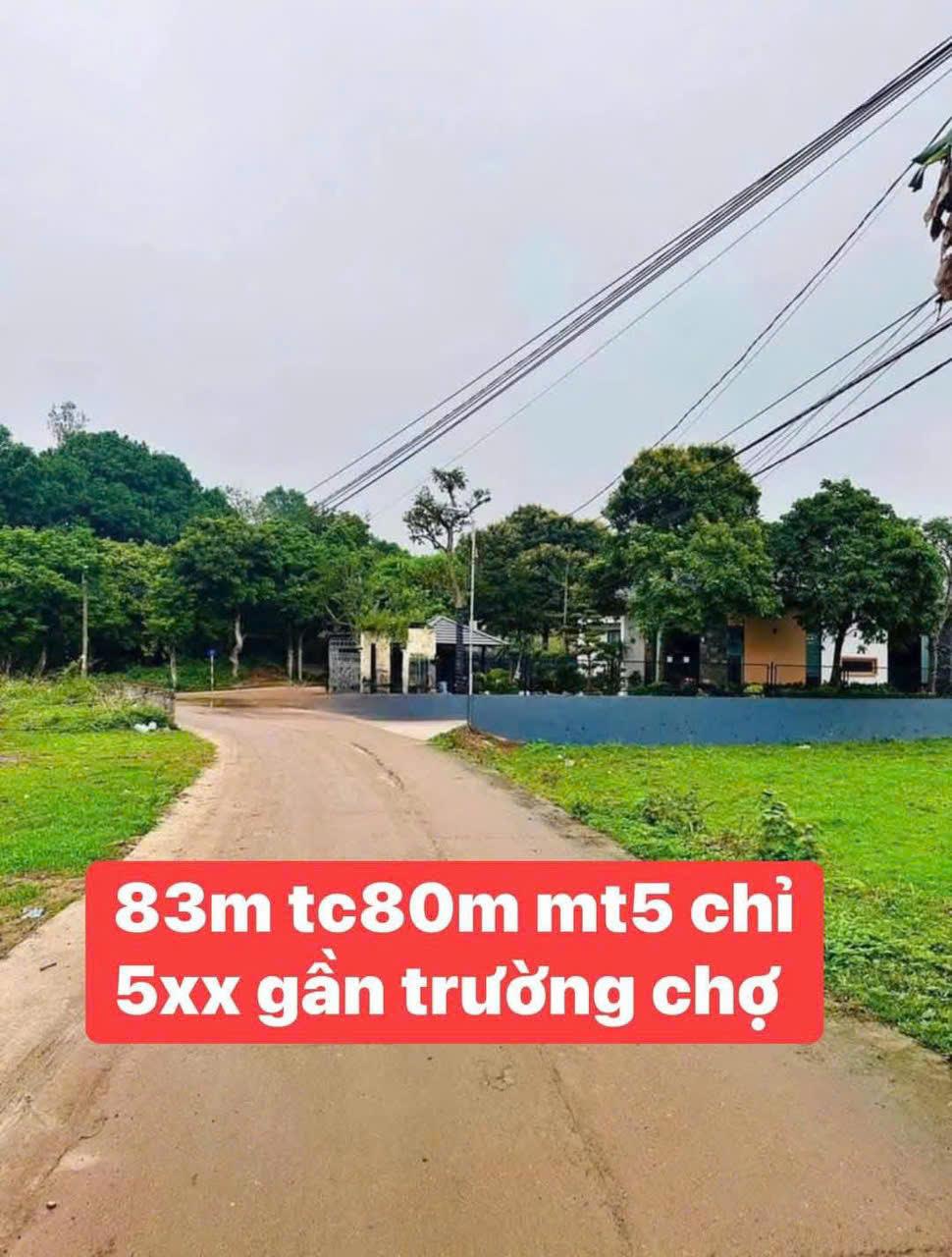 CHÍNH CHỦ Cần Bán 2 Lô Đất Mặt Tiền liền Kề Tại Phường Tân thành, TP.Thái Nguyên. - Ảnh 3