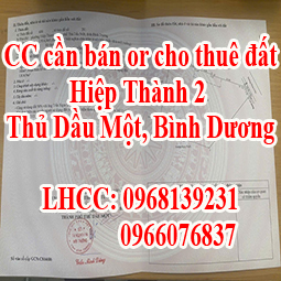 Chính chủ cần bán đất hoặc cho thuê đất tại Hiệp Thành 2, Thủ Dầu Một, Bình Dương - Ảnh chính