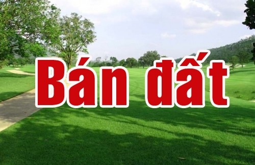 Chính chủ cần bán đất hoặc cho thuê đất tại Hiệp Thành 2, Thủ Dầu Một, Bình Dương - Ảnh 2