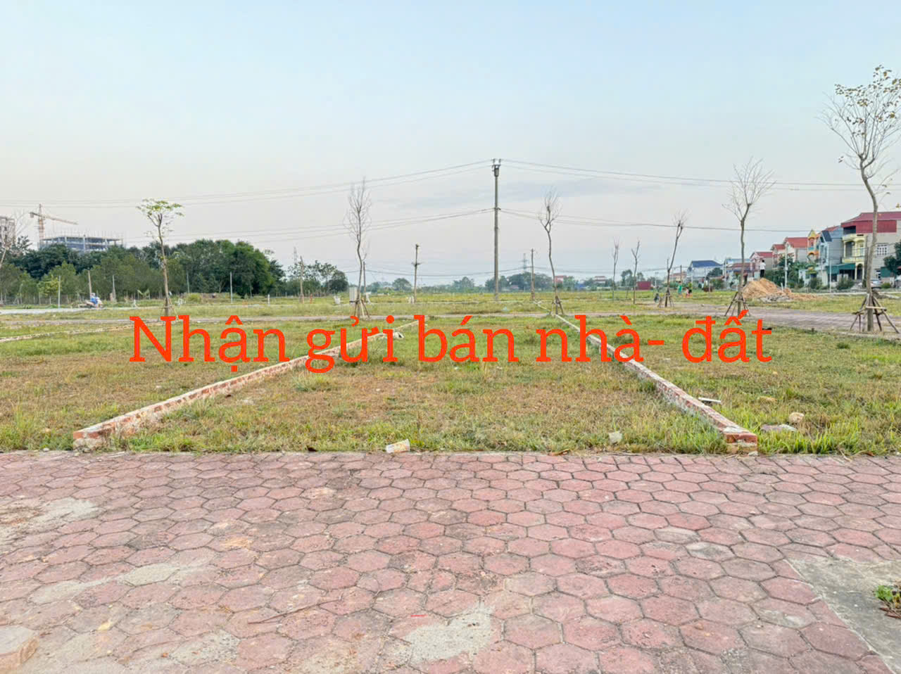 Bán đất đấu giá thôn Bạch Đa, Kim Hoa, Mê Linh - Vị trí đắc địa, tiềm năng sinh lời vượt trội! - Ảnh 2