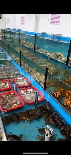 Quận Gò Vấp, Sang nhượng nhà hàng Buffet hải sản, Liên hệ: 0902888782 chính chủ - Ảnh 3