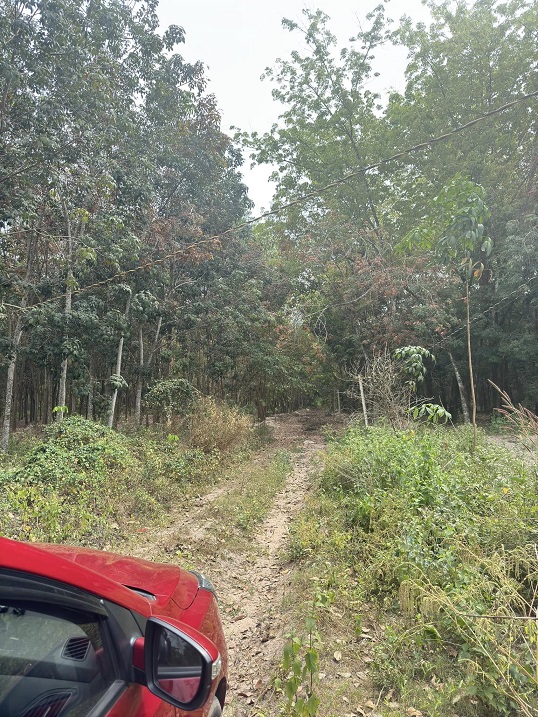 Chính chủ bán 2188m2 đất tại Hoà Lợi, Bến Cát. - Ảnh chính