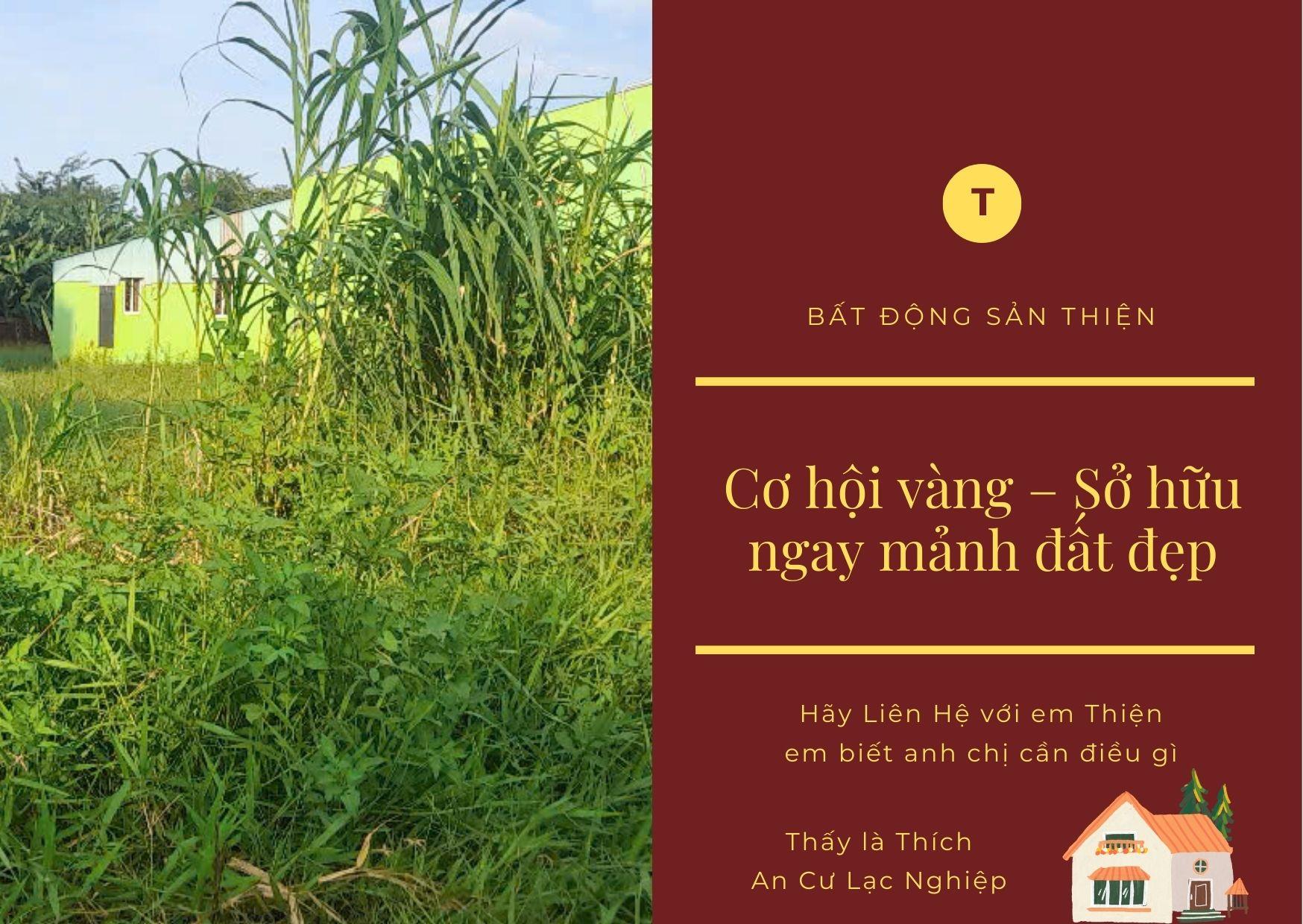 Bán Đất Mặt Tiền Đẹp 350m2 Vuông Vắn 10.5 tỷ Xuân Thới Đông Hóc Môn - Ảnh 2