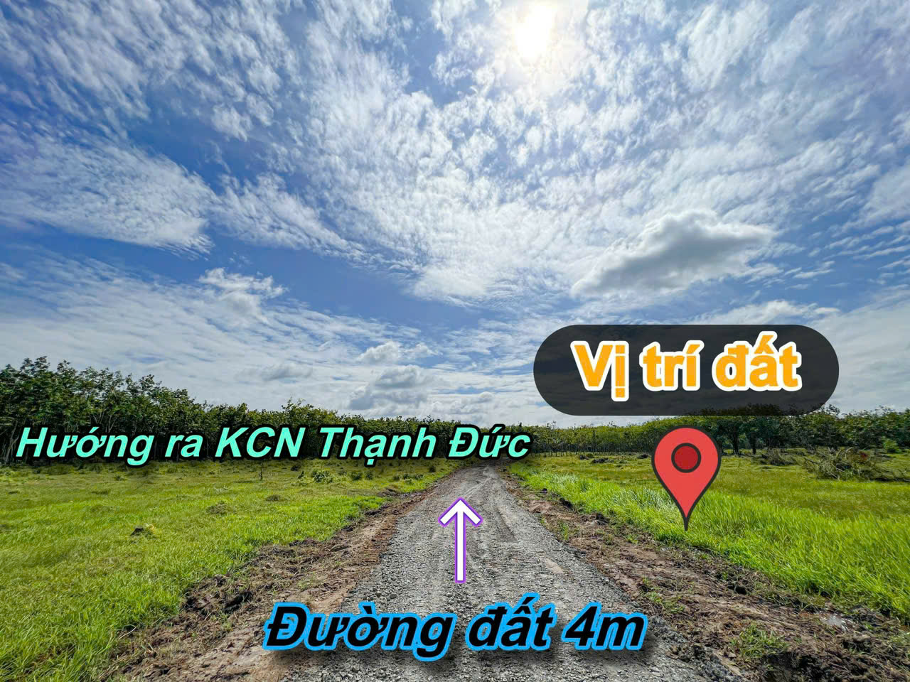 Thạnh Đức-Gò Dầu 1.5ha sẵn 2480m2 thổ cư đất kế kênh mát mẻ đường oto tới đất giá chỉ 6.5ty - Ảnh 2