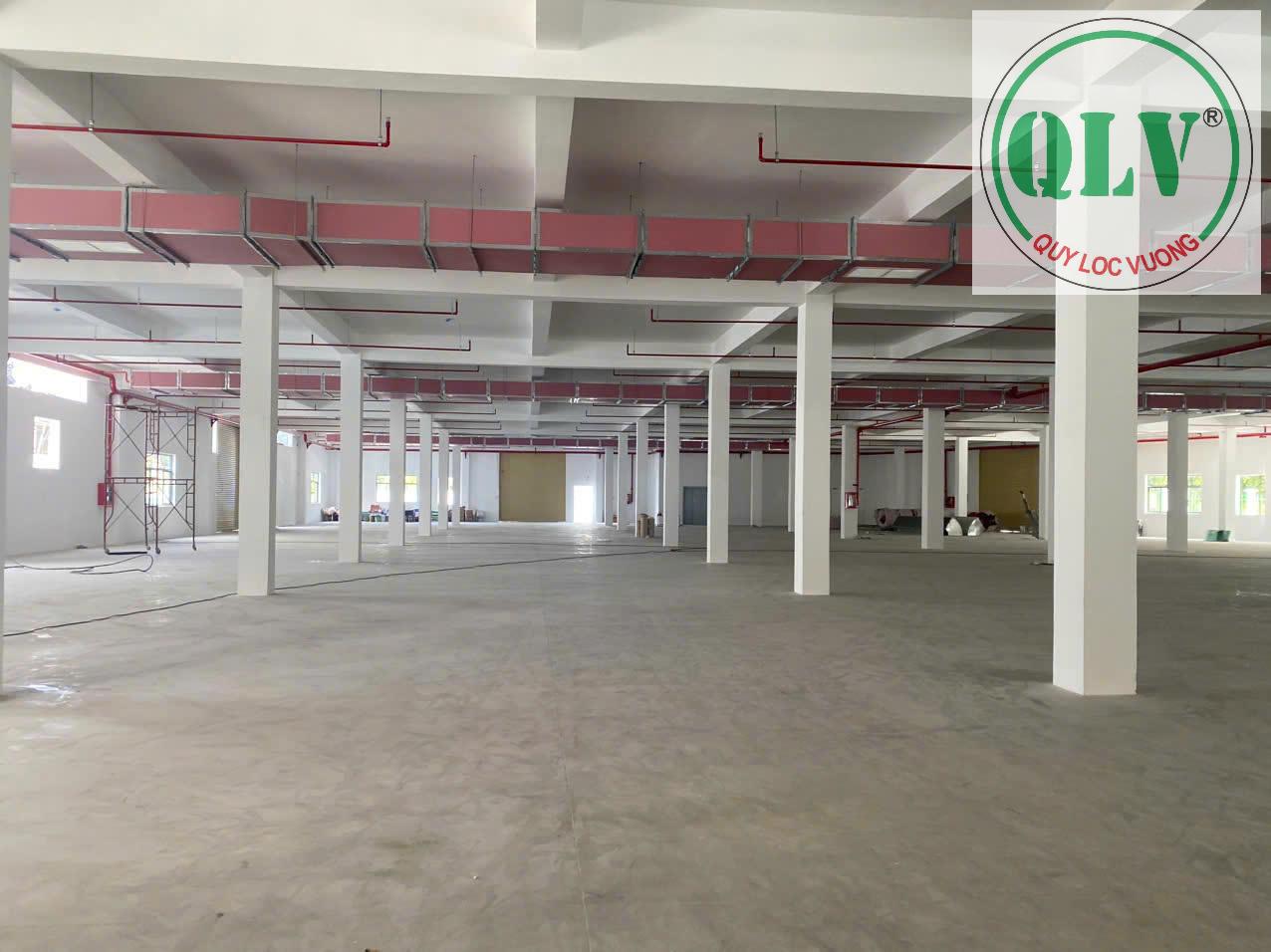 Cho thuê nhà xưởng 8.100m2 trong KCN VSIP , Bình Dương - Ảnh 3