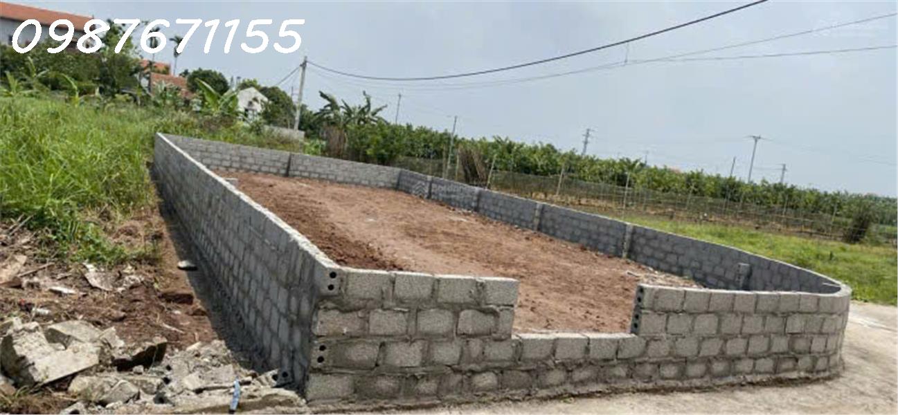 Bán đất tại Xã Tân Dân, Khoái Châu, Hưng Yên, 2,55 tỷ, 107,7 m2 đẹp, nhiều tiện ích - Ảnh chính