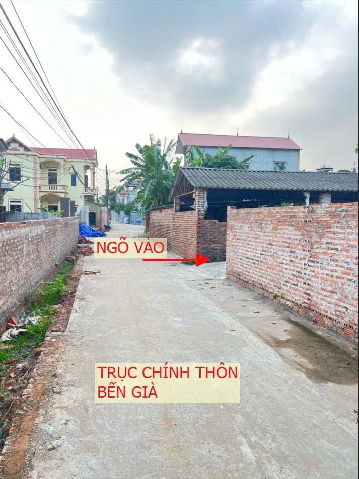 ĐẤT ĐẸP - GIÁ TỐT - CHÍNH CHỦ CẦN BÁN ĐẤT TẠI Thôn Bến Già, xã Kim Hoa, huyện Mê Linh Hà Nội - Ảnh chính