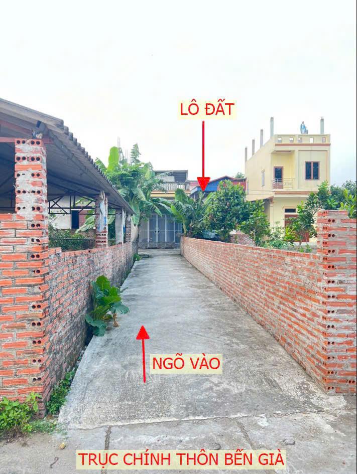 ĐẤT ĐẸP - GIÁ TỐT - CHÍNH CHỦ CẦN BÁN ĐẤT TẠI Thôn Bến Già, xã Kim Hoa, huyện Mê Linh Hà Nội - Ảnh 2