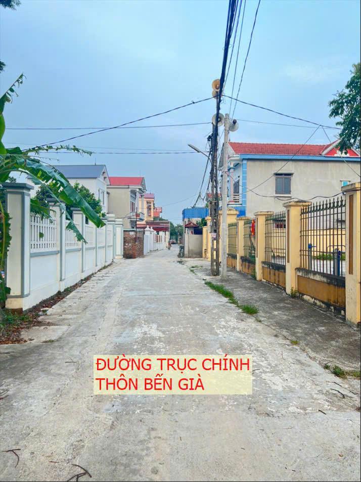 ĐẤT ĐẸP - GIÁ TỐT - CHÍNH CHỦ CẦN BÁN ĐẤT TẠI Thôn Bến Già, xã Kim Hoa, huyện Mê Linh Hà Nội - Ảnh 4