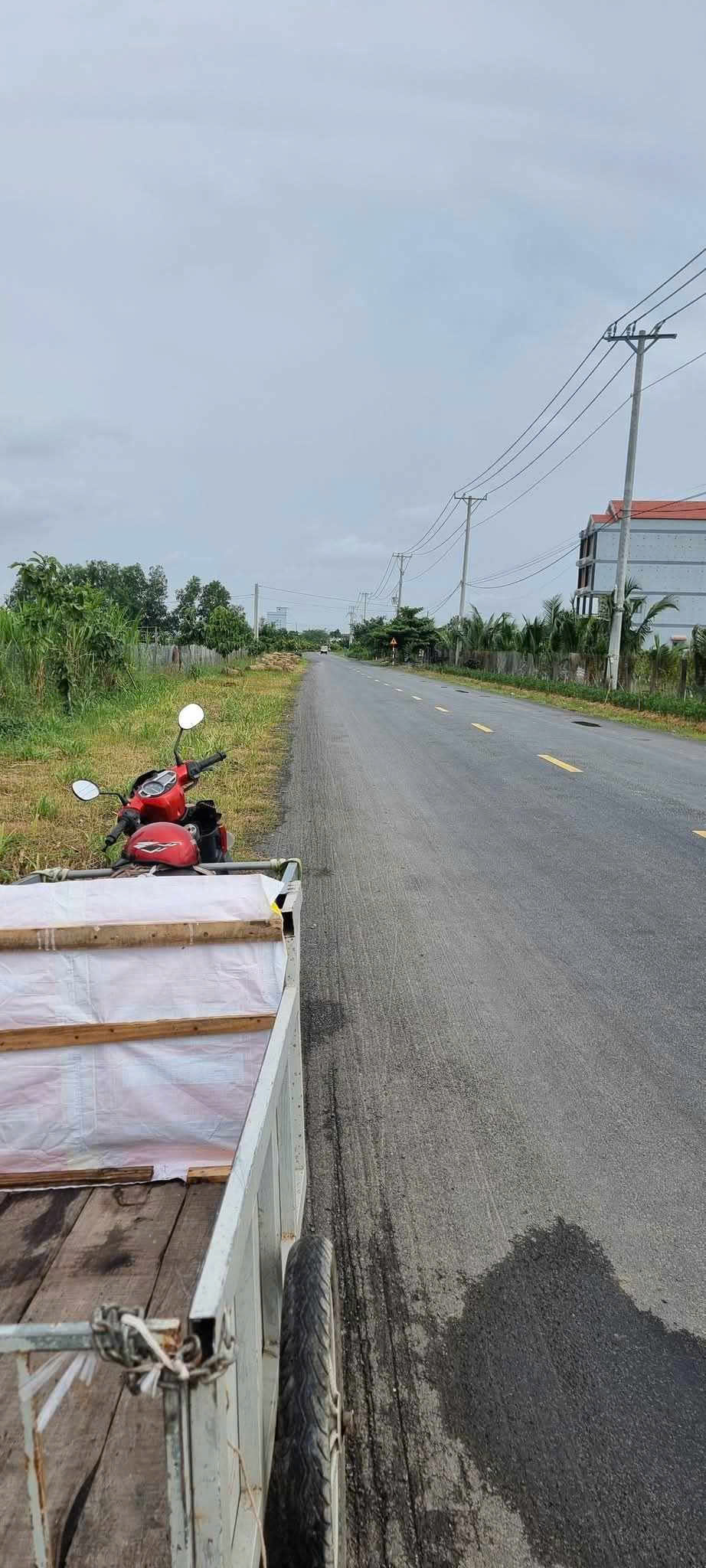 Bán đất Gò Công Tây Tiền Giang, Đất Trồng Câu Lâu Năm, pháp lý chuẩn, giá từ 2ty100 Lh:0975629934. - Ảnh chính