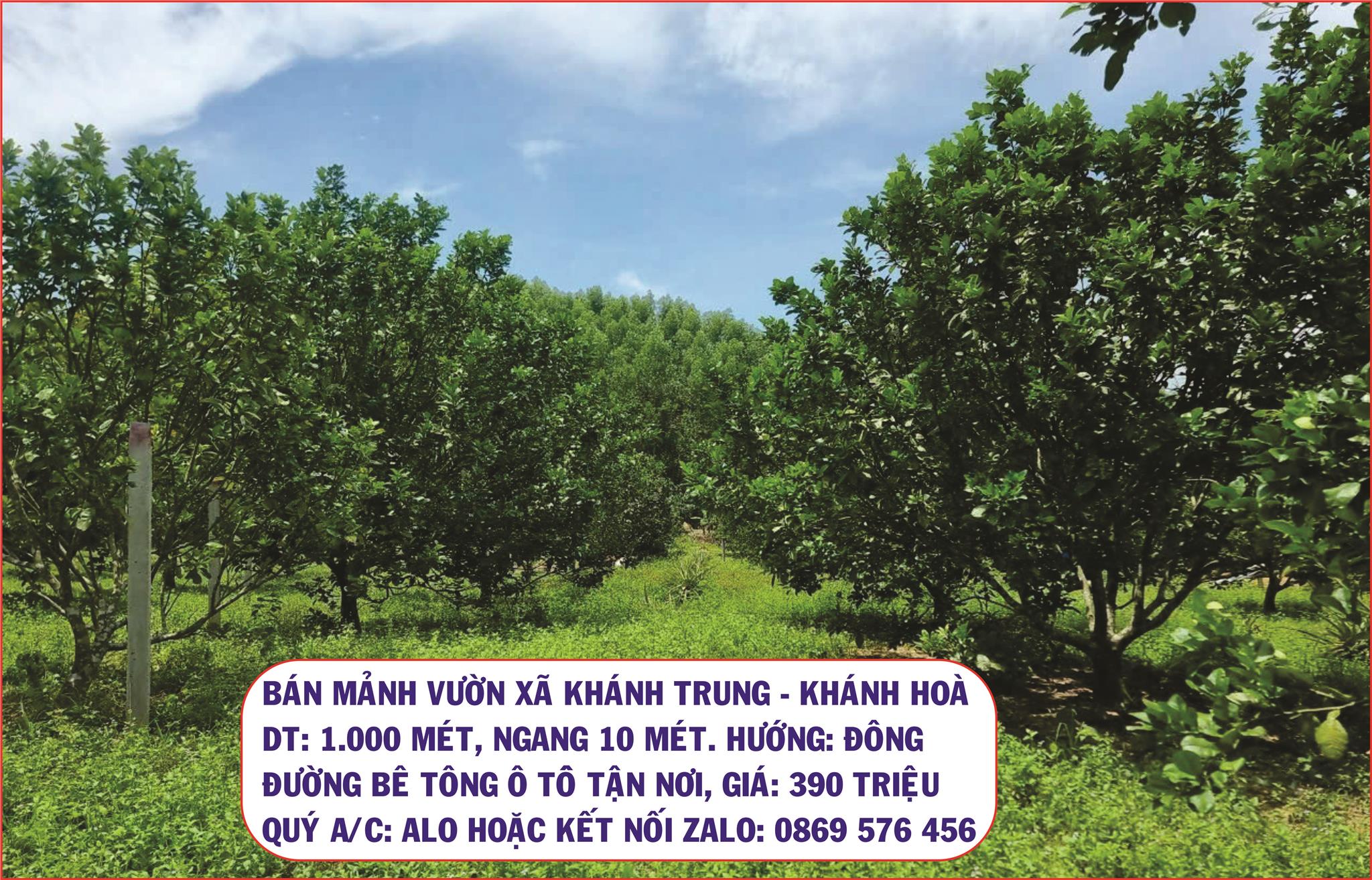 BÁN ĐẤT VƯỜN GIÁ SIÊU RẺ TẠI KHÁNH TRUNG, KHÁNH VĨNH, KHÁNH HOÀ - Ảnh 1