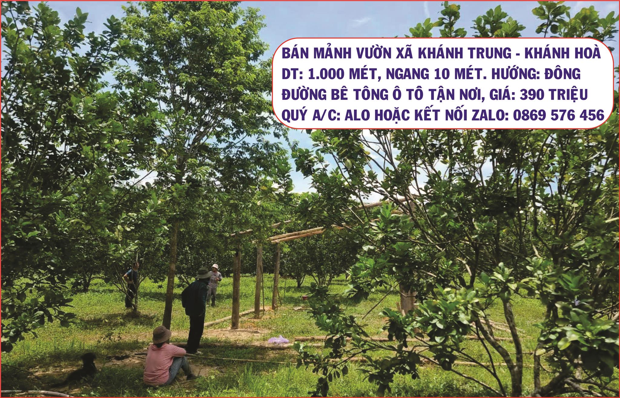 BÁN ĐẤT VƯỜN GIÁ SIÊU RẺ TẠI KHÁNH TRUNG, KHÁNH VĨNH, KHÁNH HOÀ - Ảnh 2