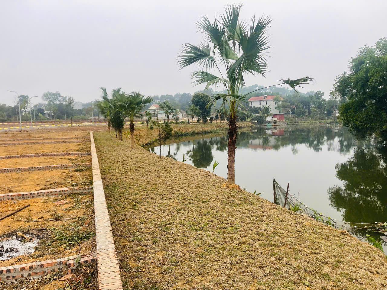 Bán lô siêu phẩm hàng hiếm Tân Phúc Sơn Đông view hồ view suối đường to ô tô tránh 65m nhỉnh 2tỷ - Ảnh 4