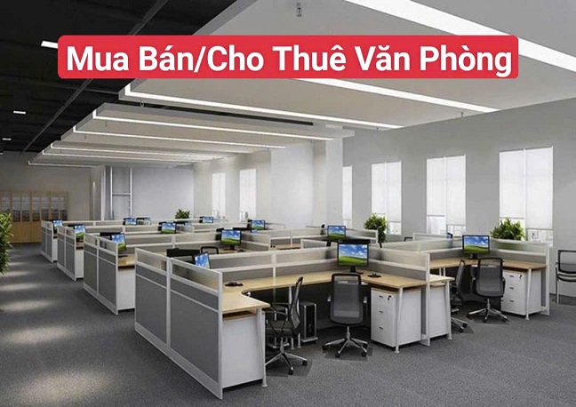 Công Ty Chúng Tôi Chuyên Cung Cấp Các Dịch Vụ Thương Mại (Mua Bán/Cho Thuê Căn Hộ/Lưu Trú/Văn - Ảnh 3