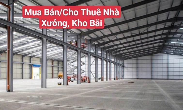 Công Ty Chúng Tôi Chuyên Cung Cấp Các Dịch Vụ Thương Mại (Mua Bán/Cho Thuê Căn Hộ/Lưu Trú/Văn - Ảnh 2