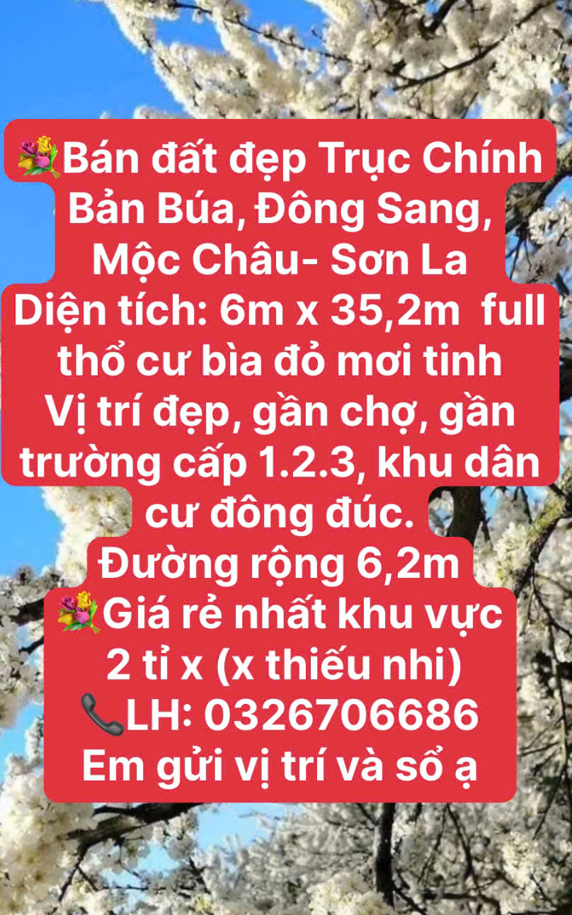 GIÁ RẺ KHU THIÊN ĐƯỜNG DU LỊCH NÀ KA MỘC CHÂU - Ảnh 2