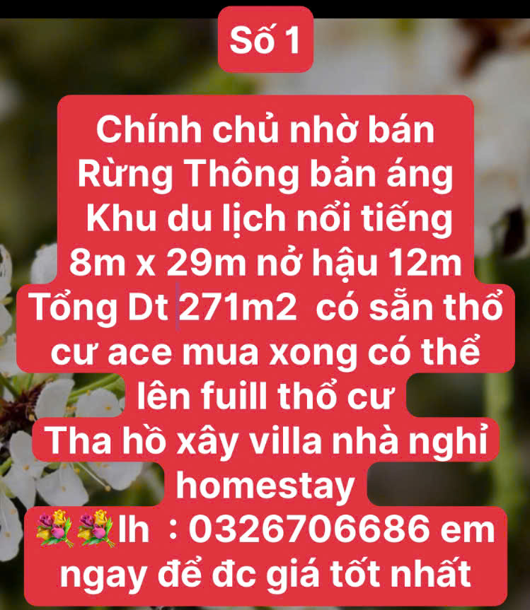 GIÁ RẺ KHU THIÊN ĐƯỜNG DU LỊCH NÀ KA MỘC CHÂU - Ảnh 3