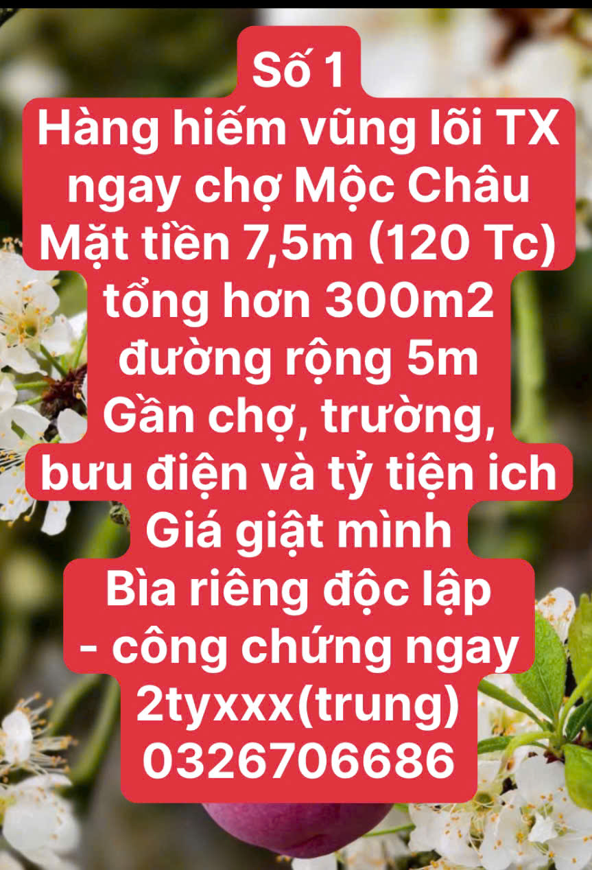 600 m2  FULL THỔ CƯ TẠI THIÊN ĐƯỜNG MỘC CHÂU - Ảnh 3