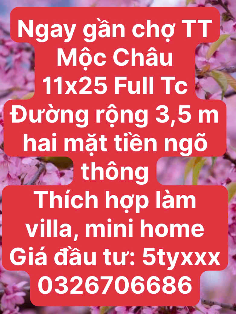 600 m2  FULL THỔ CƯ TẠI THIÊN ĐƯỜNG MỘC CHÂU - Ảnh 4