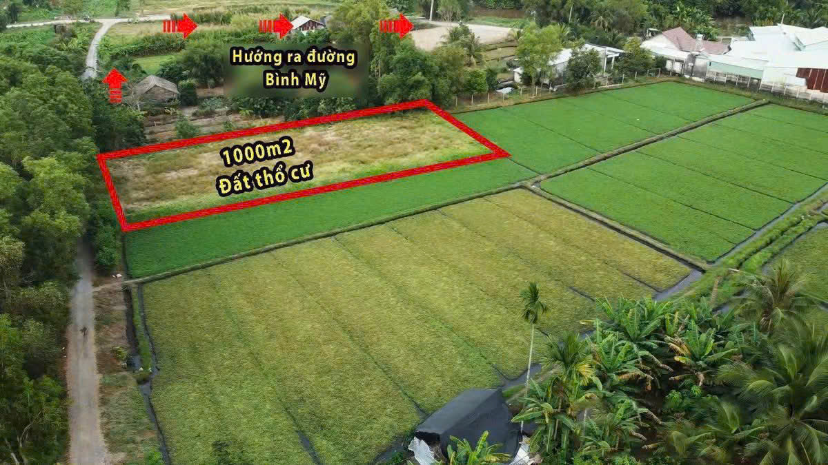 Bán 1.000m² (21 x 48) đất view kênh - full thổ cư Bình Mỹ, Củ Chi Giá rẻ hơn 10₫ - Ảnh chính