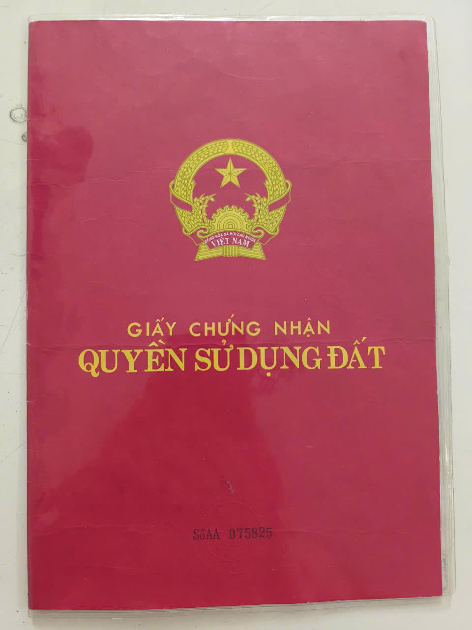 ĐẤT ĐẸP- CHÍNH CHỦ Cần Bán Nhanh Lô Đất  Đẹp Vị Trí Tại Xã An Thới Đông, Huyện Cần Giờ, TP HCM - Ảnh 2