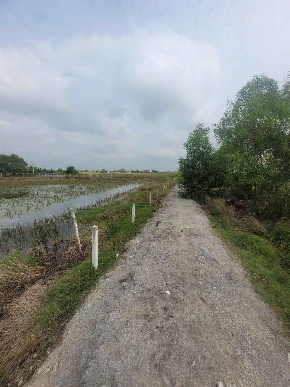 ĐẤT ĐẸP- CHÍNH CHỦ Cần Bán Nhanh Lô Đất  Đẹp Vị Trí Tại Xã An Thới Đông, Huyện Cần Giờ, TP HCM - Ảnh 4