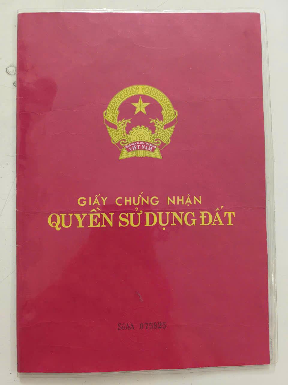 ĐẤT ĐẸP - GIÁ TỐT - Cần Ban Lô Đất Vị Trí Đắc Địa Tại An Thới Đông, Huyện Cần Giờ, TP Hồ Chí Minh - Ảnh 1