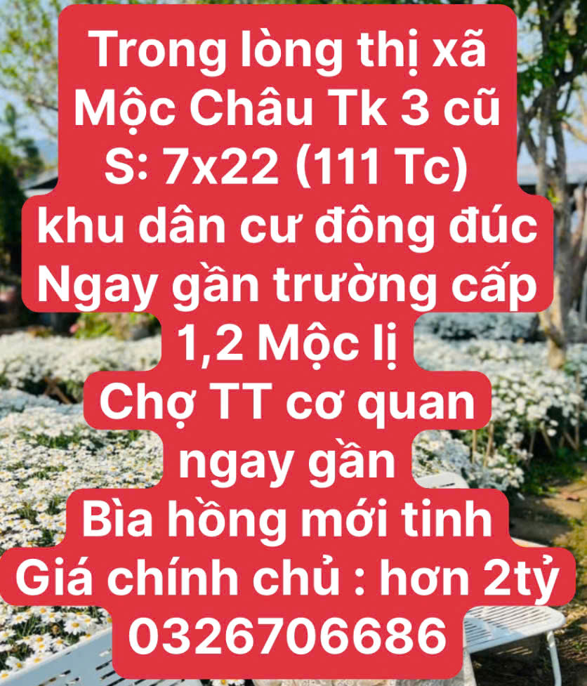 LÔ ĐẤT KHỦNG TẠI MỘC CHÂU - Ảnh 2