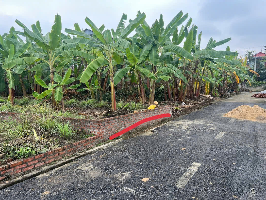 ĐẤT ĐẸP - GIÁ TỐT - Vị Trí Đắc Địa Tại Đồng Doii, Yên Bài, Ba Vì, TPHN - Ảnh chính