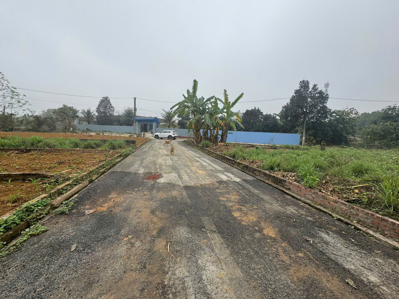 ĐẤT ĐẸP - GIÁ TỐT - Vị Trí Đắc Địa Tại Đồng Doii, Yên Bài, Ba Vì, TPHN - Ảnh 1