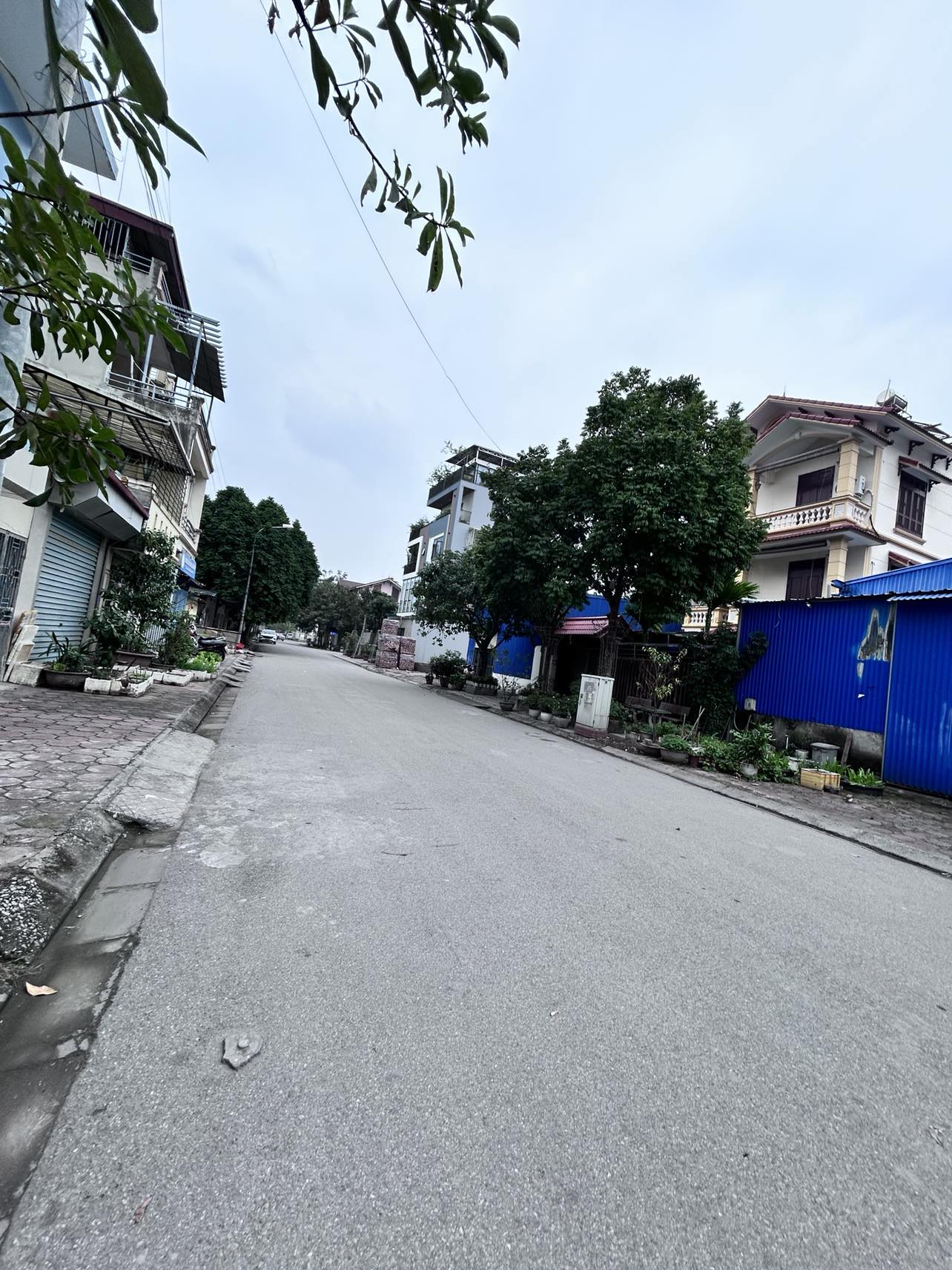 Cho thuê Kho Xưởng,MBKD khu đấu giá 31ha Trâu Quỳ, Gia Lâm,255m lô góc biệt thự - Ảnh chính