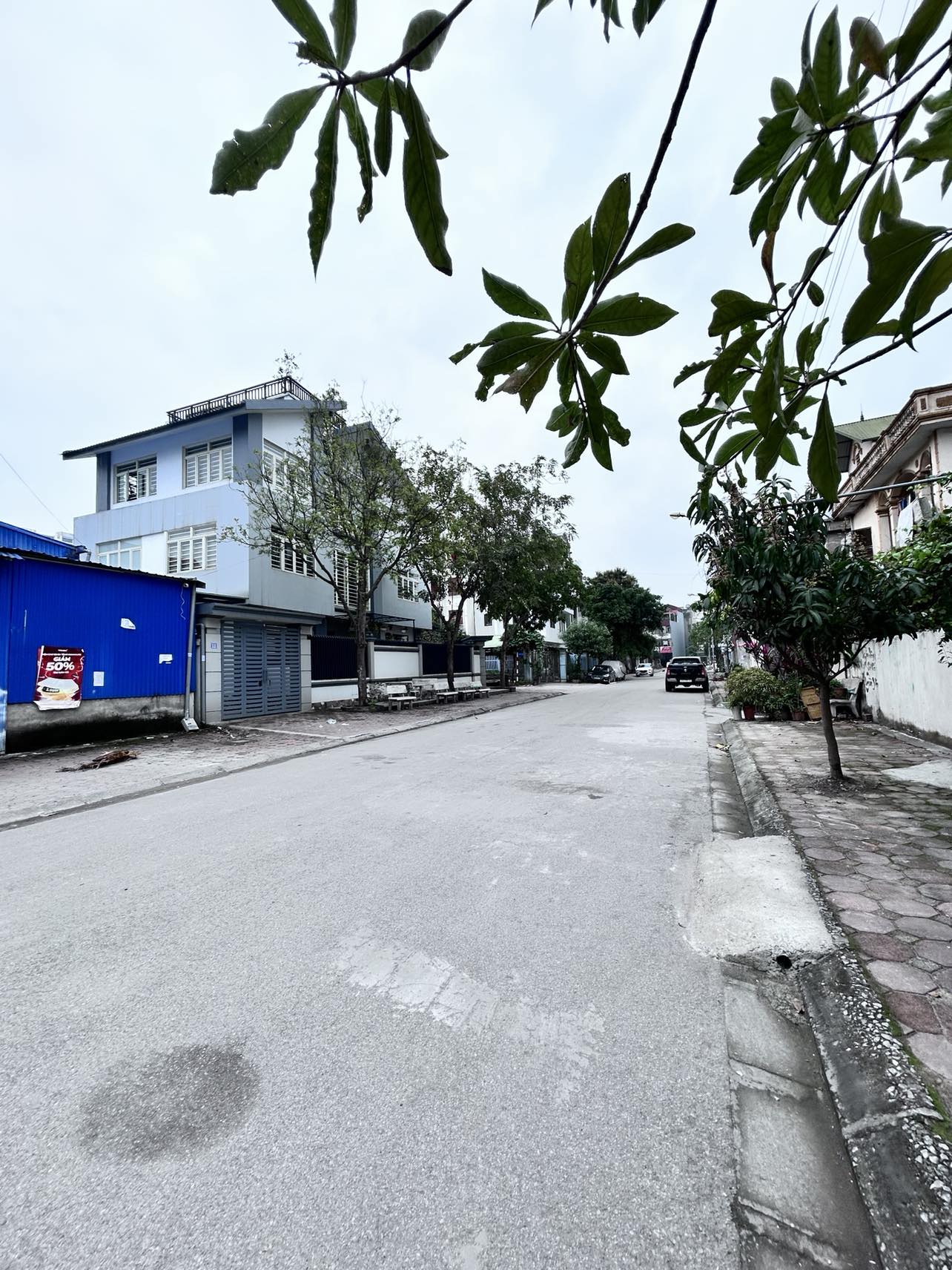 Cho thuê Kho Xưởng,MBKD khu đấu giá 31ha Trâu Quỳ, Gia Lâm,255m lô góc biệt thự - Ảnh 3