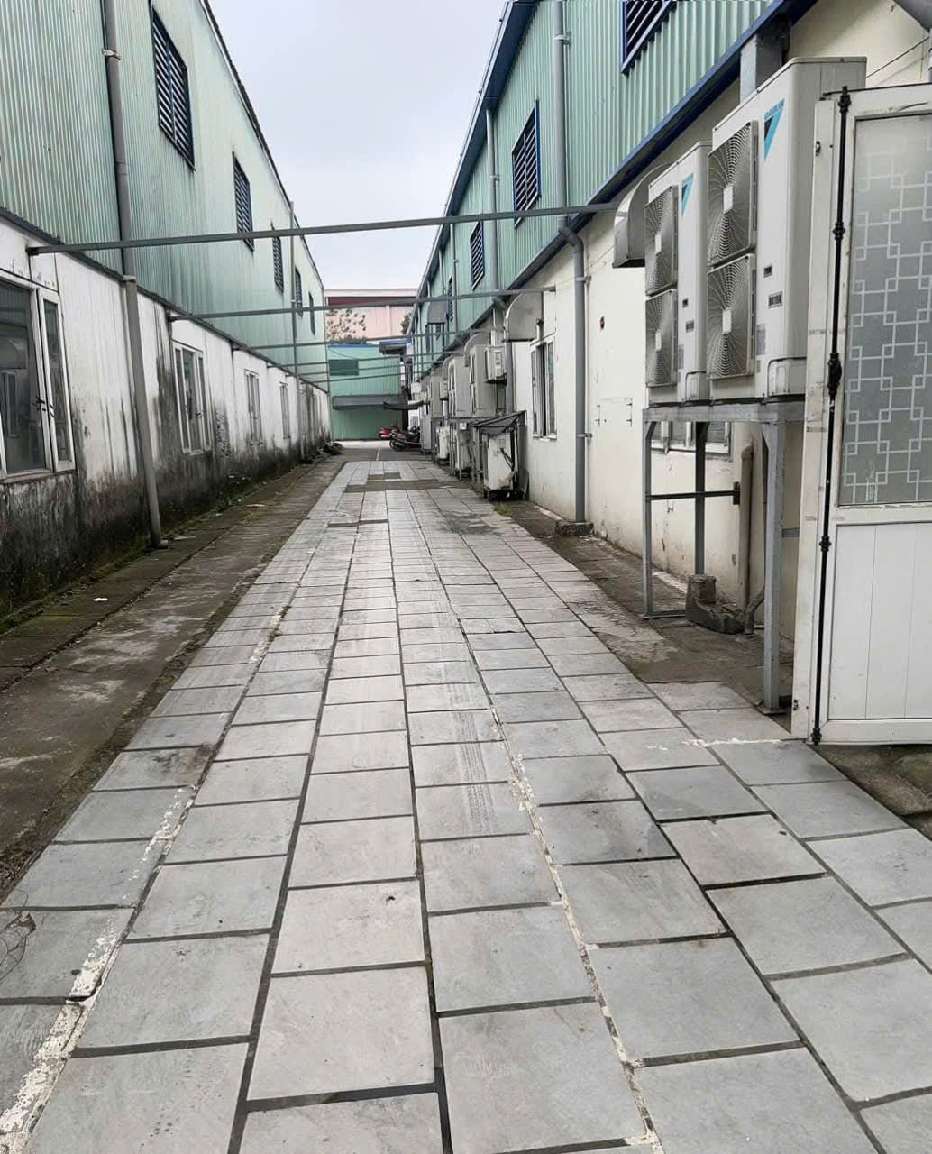 Bán nhà xưởng KCN Hà Bình Phương, Văn Bình, Thường Tín - Ảnh chính