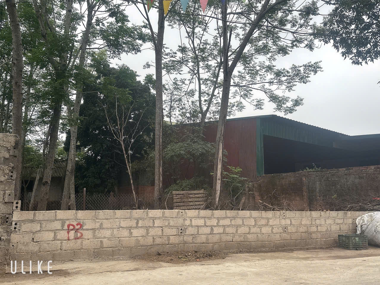 TRỤC CHÍNH LA GIÁN, CỔ ĐÔNG 372M2, GIÁ 1XTR/M2 - Ảnh 2