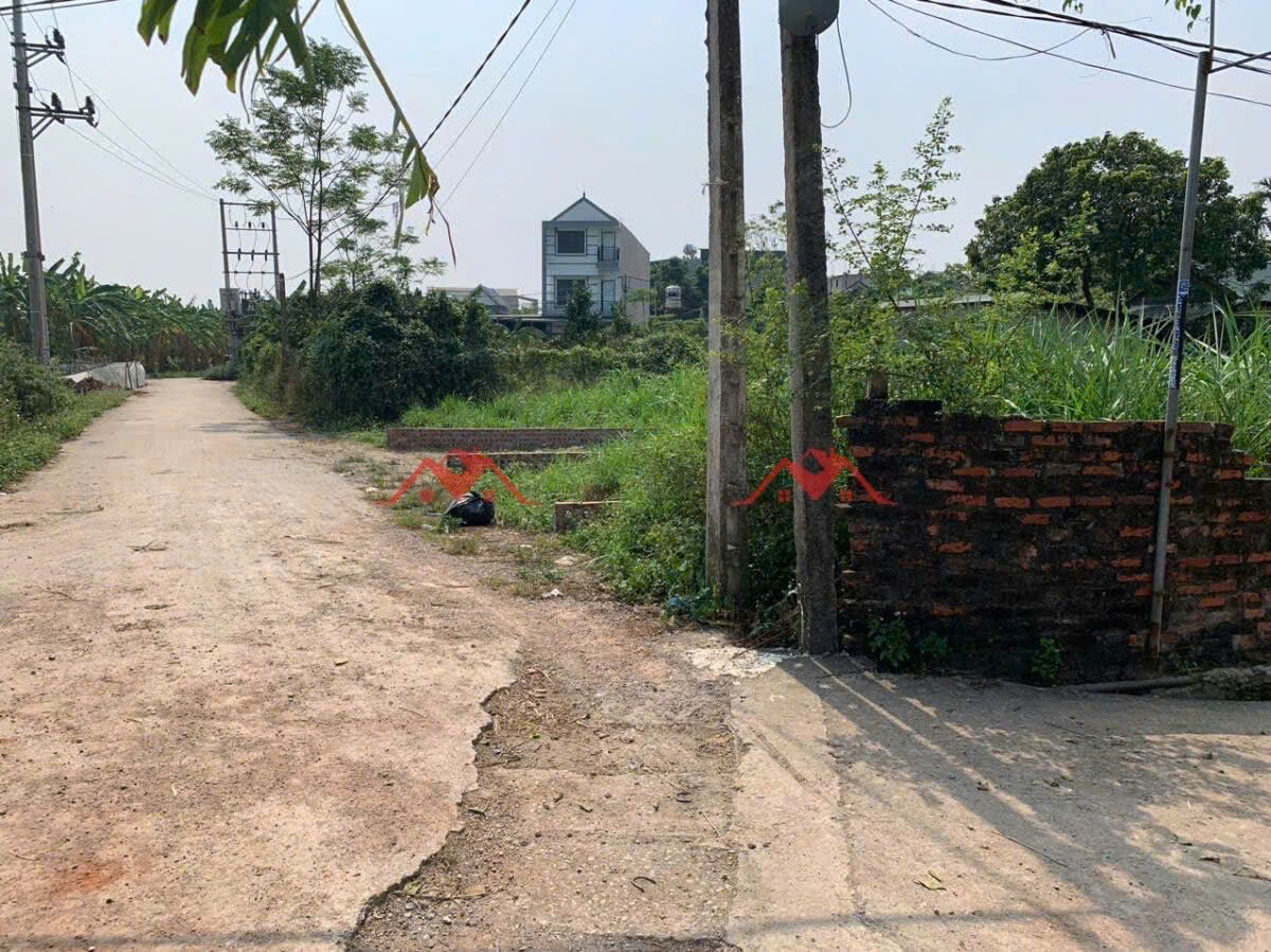 CHÍNH CHỦ BÁN LÔ ĐẤT 45,5M TẠI ĐẠI YÊN-CHƯƠNG MỸ-HÀ NỘI - Ảnh 2