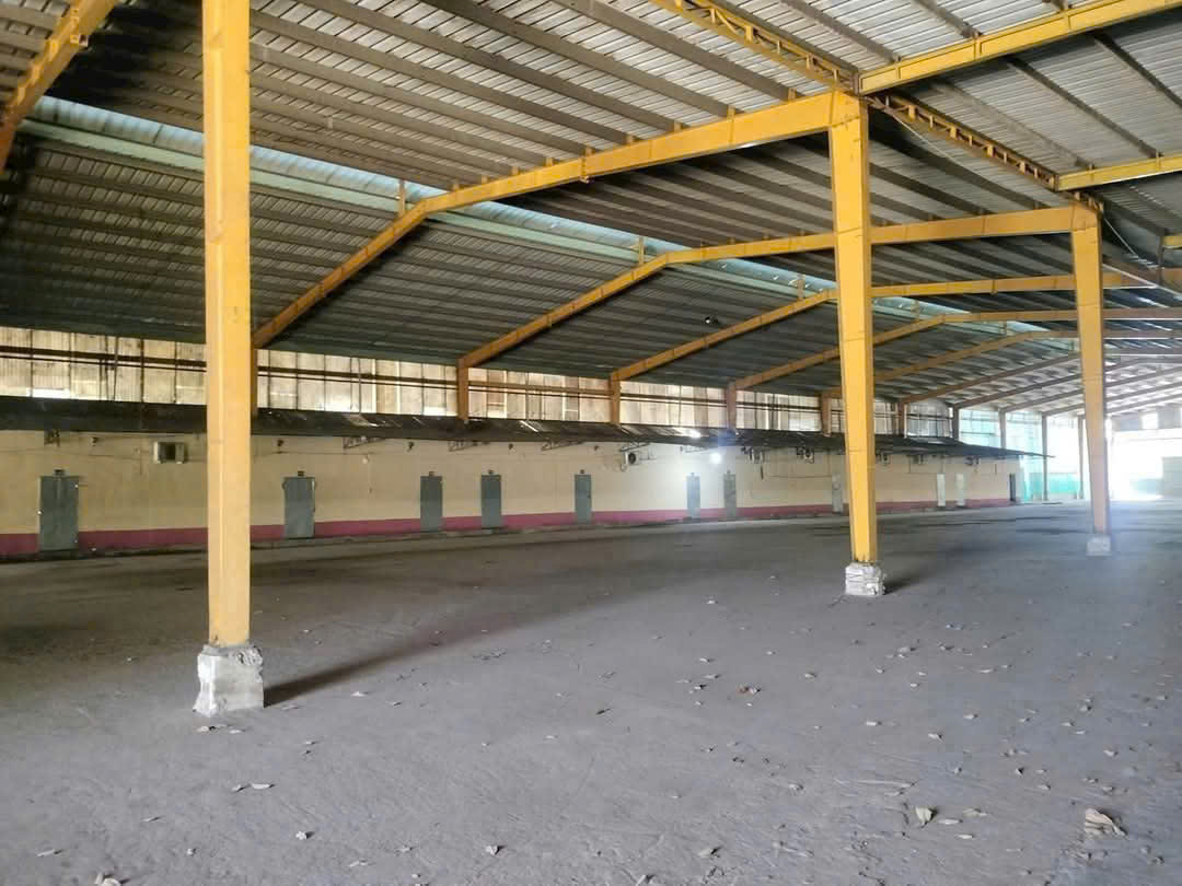 Cho thuê xưởng gỗ viên nén phun sơn Phú Giáo Bình Dương.TDT 12.000m2. PCCC, Điện hạ trạm : 750kva. - Ảnh 3