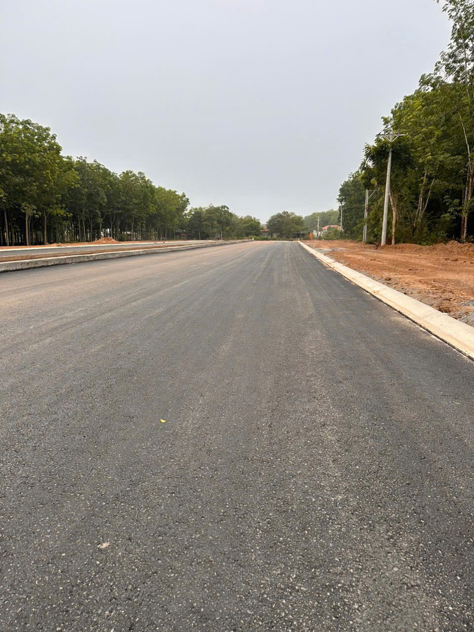 Cho thuê đất mặt tiền đường Tạo Lực Phú Giáo Bình Dương.DT từ 5000 - 50000m2. Giá 200 triệu. Liên - Ảnh 4