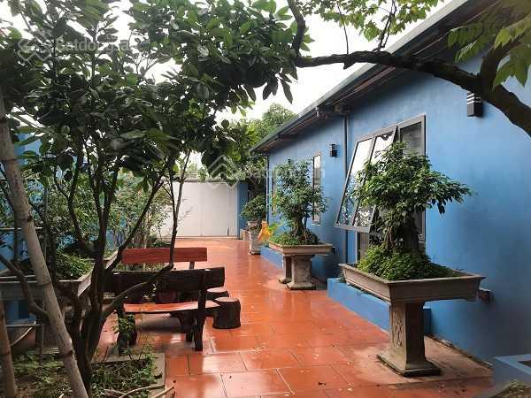 Cho thuê nhà vườn tại Đông La 520m2. 3PN, full đồ cao cấp, 15tr/tháng, gần Tố Hữu, gần công viên - Ảnh chính