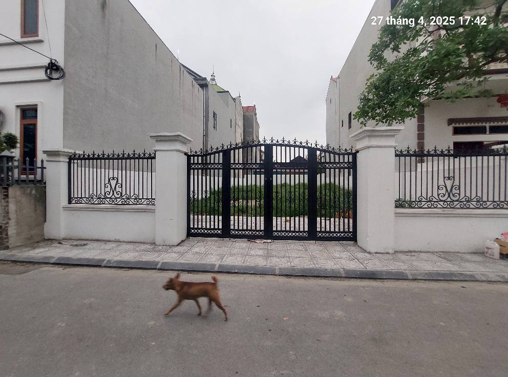 Bán đất cực xinh 290m2, mt10.8m, 26.8 tỷ, Nguyên Khê, Đông Anh. - Ảnh 4