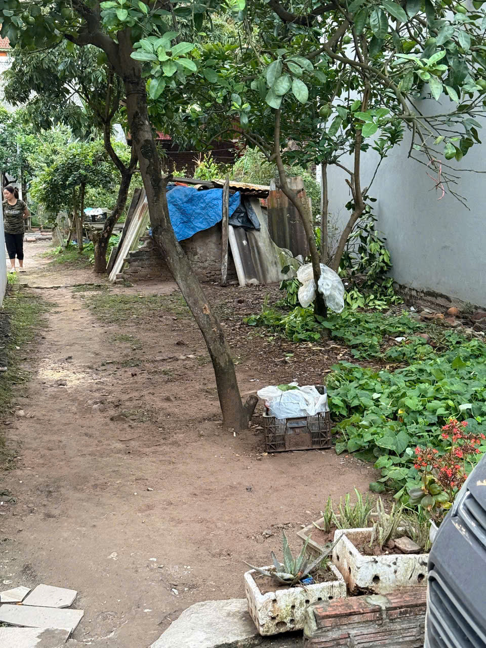 Bán đất Tráng Việt, Mê Linh. Full thổ cư, ô tô đỗ. Đón đầu dự án cầu Thượng Cát - Ảnh chính