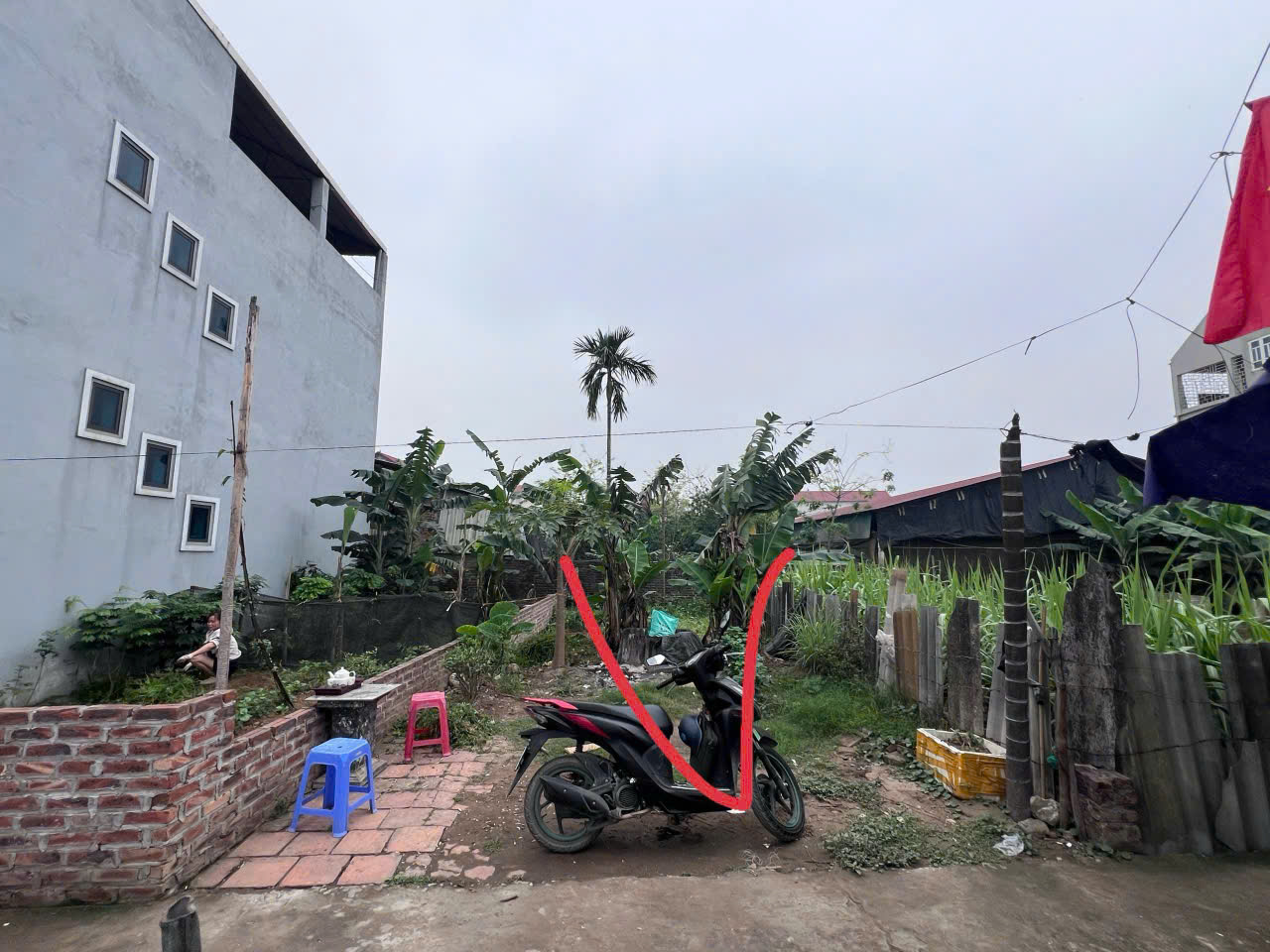 Bán 77m đất thôn Tráng Việt, xã Tráng Việt, Mê Linh. Đón dự án cầu Thượng Cát - Ảnh 1