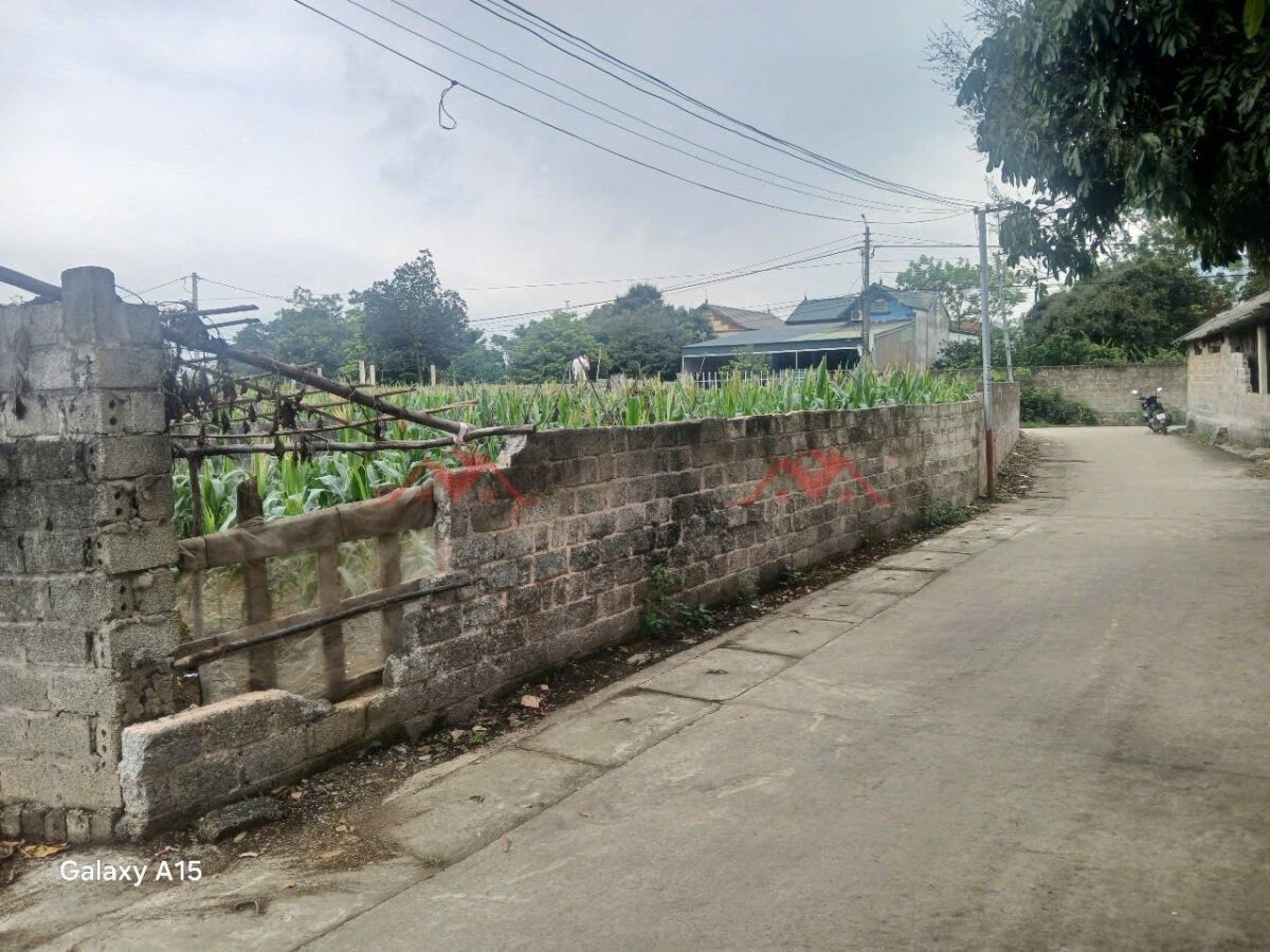 CHÍNH CHỦ BÁN LÔ ĐẤT 294M TẠI NAM PHƯƠNG TIẾN-CHƯƠNG MỸ-HÀ NỘI - Ảnh 1
